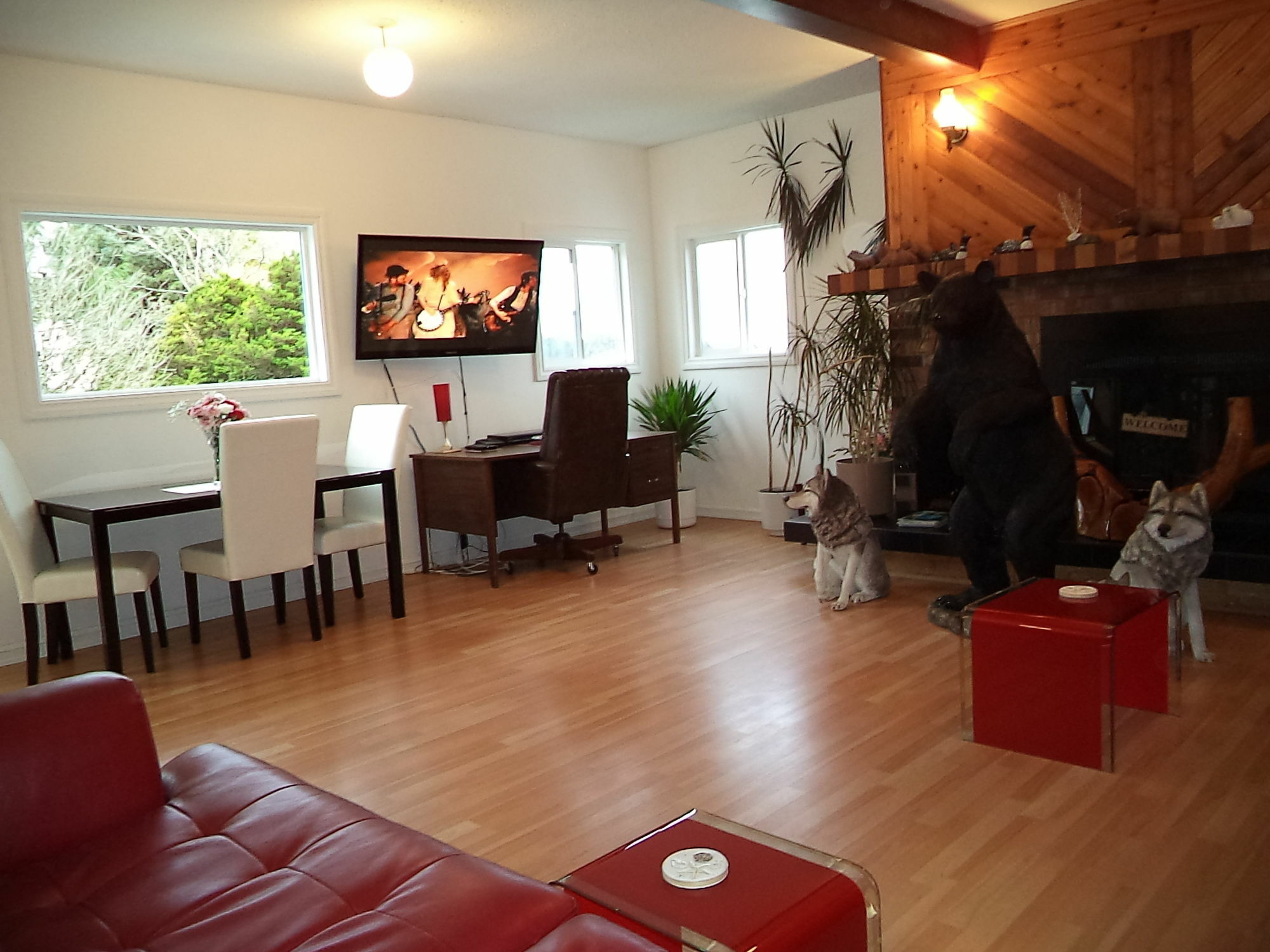 Enchanted Rainforest Guesthouse Prince Rupert Extérieur photo